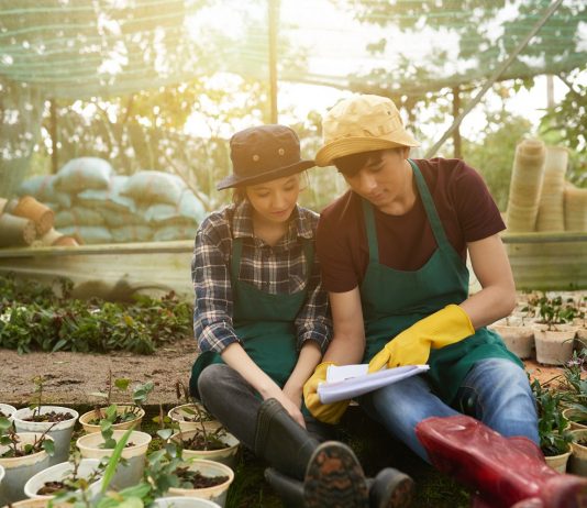 Mezőgazdasági idénymunka kereső hírportált indított az Agrárminisztérium