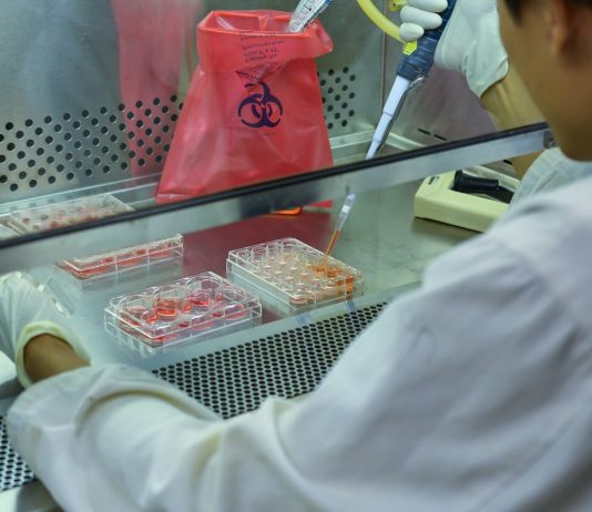 Közalkalmazottból munkavállaló a kutatóknál is