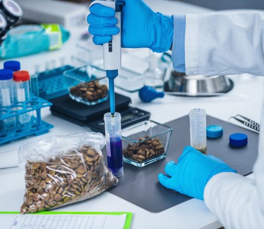 160 új munkahely Bükön – még tovább bővül az állateledel gyár