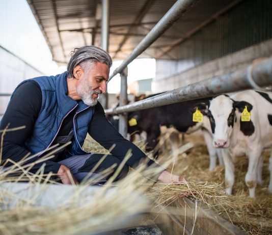 Okirattal kell igazolni az agrárcélú munkavégzést is