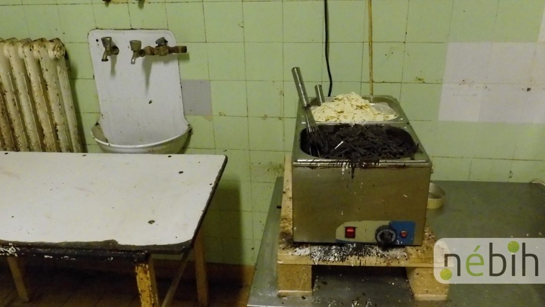 Egészségre veszélyes munkakörülmények – bezárták a sütőipari üzemet Csongrádban