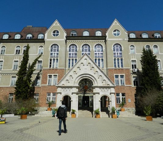 Online képezi kollégáit a koronáról a Pécsi Tudományegyetem