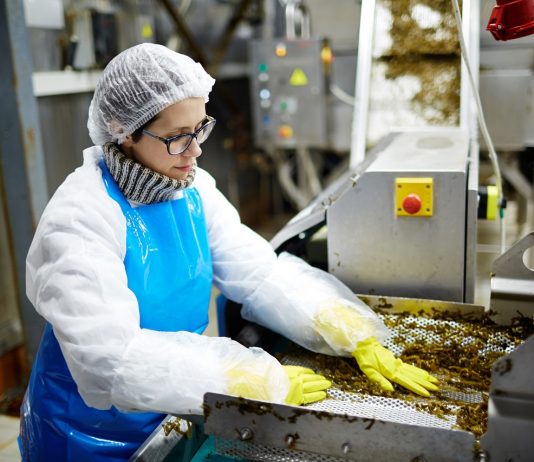 A munkaerőpiaci struktúra nem, de a gondolkodás megváltozott a pandémia alatt