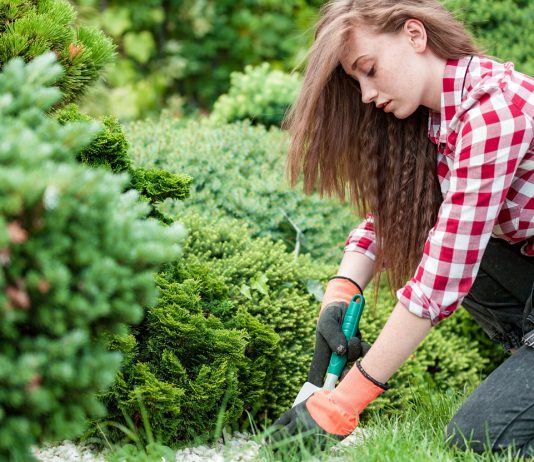 Közel háromszázezer fiatal munkavállalót érint az szja-mentesség