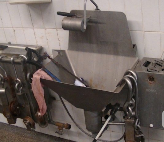 Kosz a vágóhídon – újabb üzem, ami elvérzett az ellenőrzésen Nébih - vágóhíd