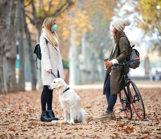Vigyázat, csalók: a járványhelyzet alatt virágzik az illegális kutyakereskedelem Two friends wearing surgical mask talking and walking with their