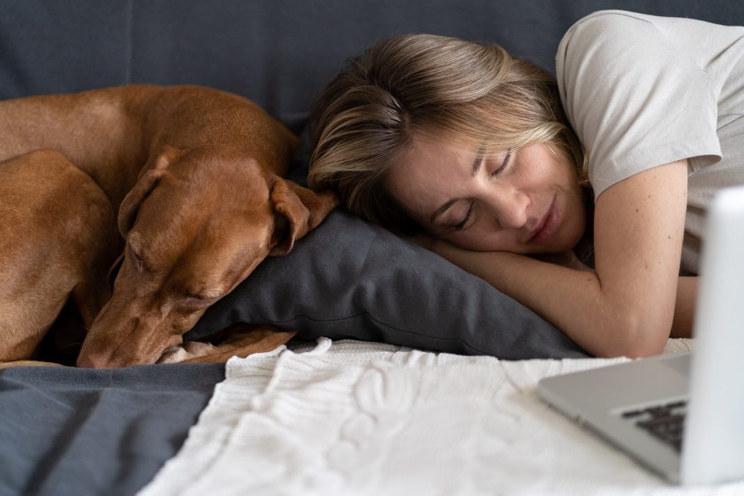 Woman with her lovely dog Vizsla sleeping together on the same pillow on the couch at home.