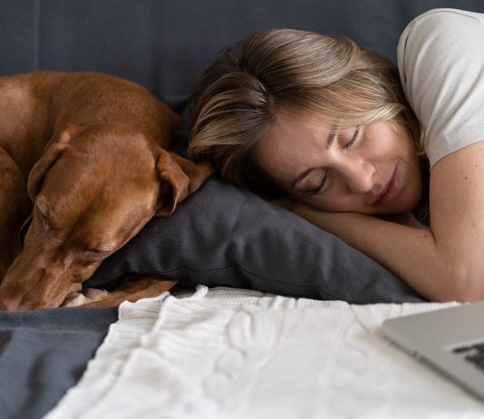 Napunk egy nehéz éjszaka után – felmérés a pandémia alatti alvási szokásainkról Woman with her lovely dog Vizsla sleeping together on the same pillow on the couch at home.