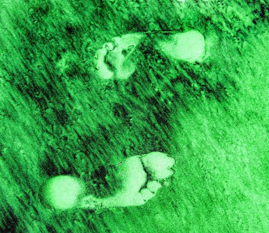 Németország szinte az összes klímacélt eléri – a járványnak köszönhetően fenntarthatóság