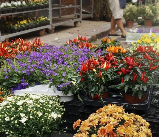 A piacokon nyitva lehetnek a virágárusok Flower street market