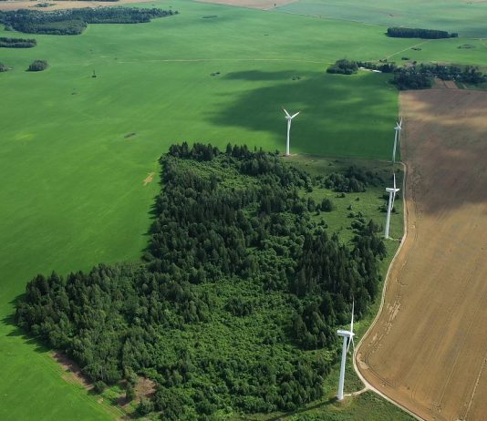EY: a befektetők fele környezeti szempontokat is figyelembe vesz Windmills in summer in a green field.large windmills standing in a field near the forest.Europe, Belarus