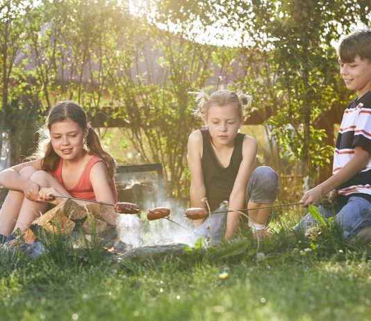 Idén már az ottalvós Erzsébet-táborokat is megtartják Zánkán és Fonyódligeten