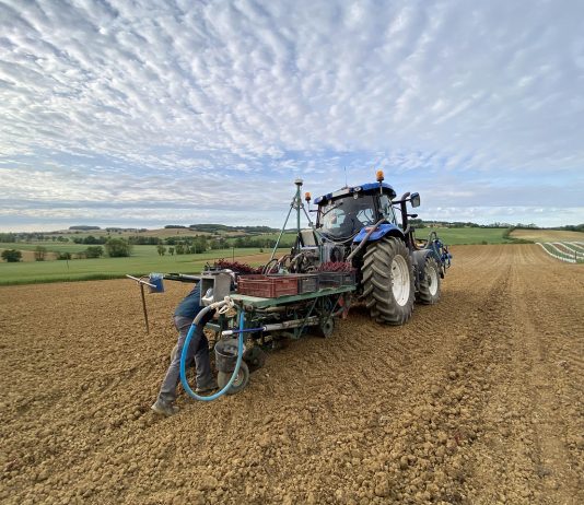 Újabb adóváltozás – jó hírt kaptak az egyéni vállalkozók
