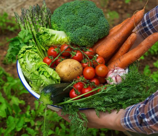 Egész Európát elláthatná a biogazdálkodás