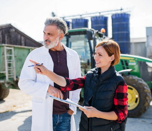 Ötödével nőtt a milliárdos családi vállalkozások száma Magyarországon