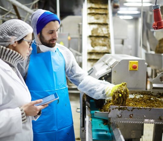 Létszámbővítést, ugyanakkor áremelést tervez a német kkv-k negyede