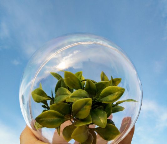 Fél év alatt felélnénk a Földet