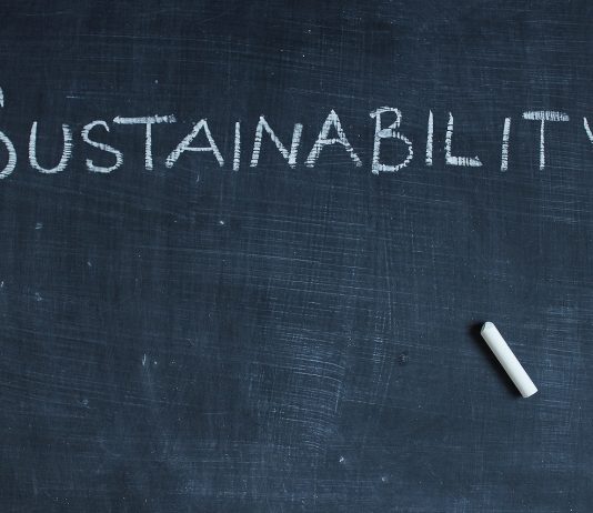 Sustainable World 2021, a jövő vállalata fenntarthatóság