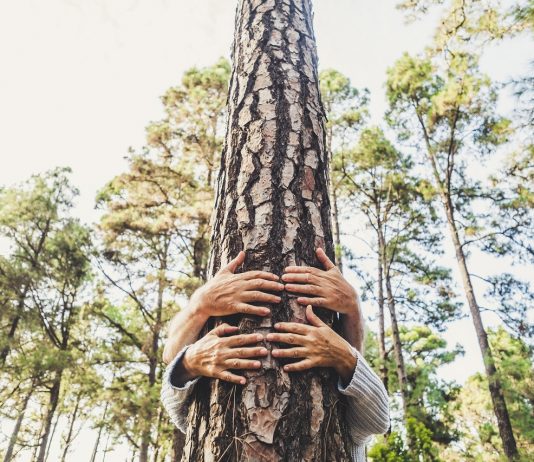 Biodiverzitási jogszabály megalkotását javasolja az Európai Parlament