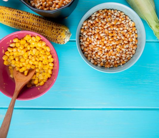 14,5 milliárd forintos beruházással 110 munkahely jön létre