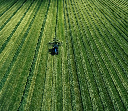 Élelmezési világválság következhet be ?