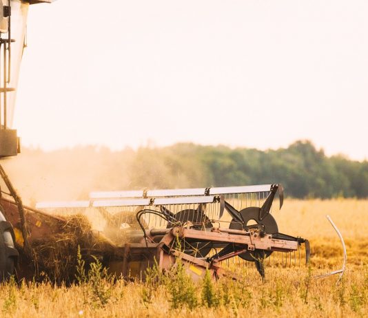 Újabb öt pályázatot hirdet meg az Agrárminisztérium a Vidékfejlesztési programban