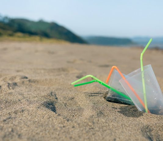 Júliustól betiltják az egyszer használatos műanyagokat