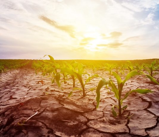 Szemléletváltásra van szükség a hazai vízgazdálkodásban