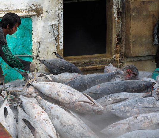 A klímaváltozas miatt összeomolhat több csendes-óceáni sziget gazdasága