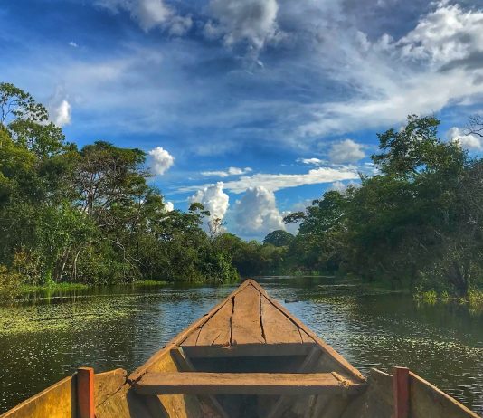 Műholdas technológia segít az őslakosoknak az erdőirtások megfékezésében