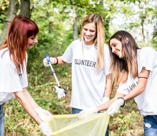 Építőtáborozók rendezik a Kis-Balaton környezetét