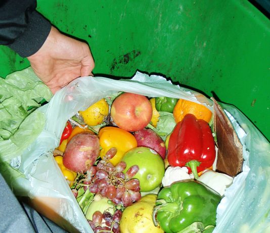 Évente 2,5 milliárd tonna élelmiszer kerül a szemétbe