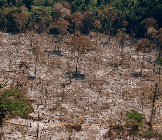 Már több szén-dioxidot bocsátanak ki az Amazonas erdei, mint amennyit elnyelnek