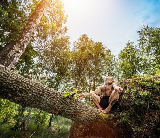 A fenntarthatóság fenntarthatósága Fenntarthatóság