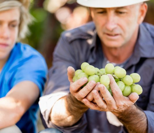 Nomen est omen: nyomaszt-e az őseim hivatása? Karrierválasztás