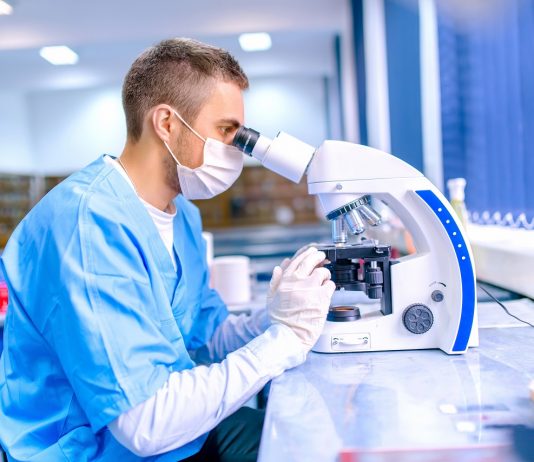 Az iparban is hasznosítható anyagokat fejlesztettek szegedi kutatók mikroszkop.jpg