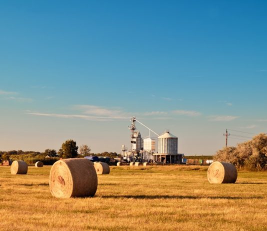 Csökkentsük a szén-dioxid kibocsátást, de hogyan? Farm