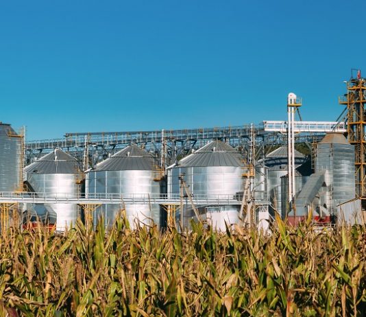 Világszerte csökkentek az élelmiszerárak