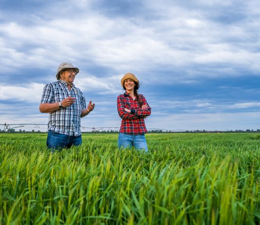 Földművelés, a kockázatos vállalkozás Mezőgazdaság