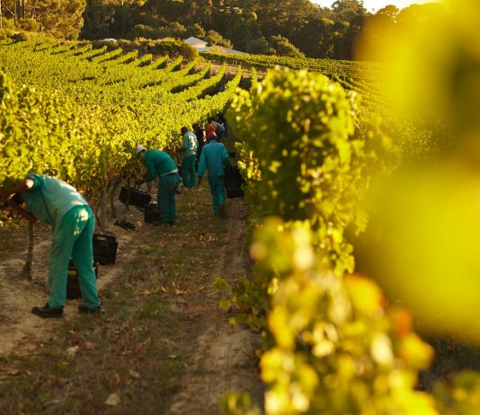 A románok ötöde tervez külföldi munkavállalást