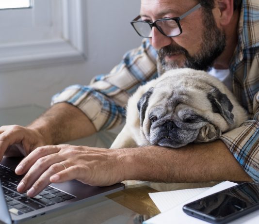 Akár kevesebb pénzért is, de inkább a home office?