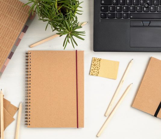 Fenntarthatóság az irodában: 5 egyszerű tipp a zöld munkahelyhez Zöld iroda