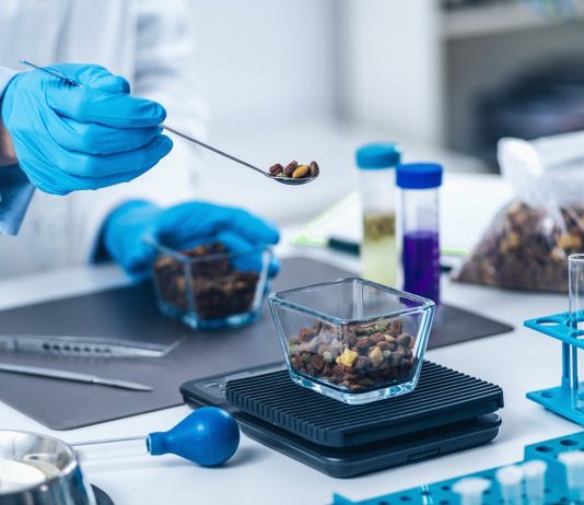 Új nagyberuházást indít a Mars Magyarországon Állateledel