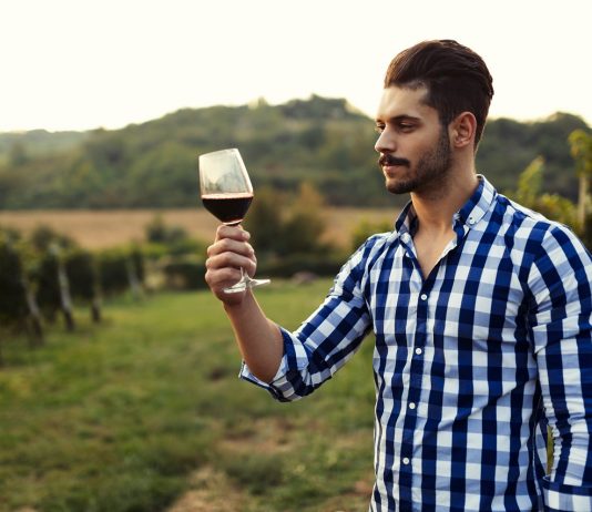 Egyéves átmeneti időszak segíti az új bortörvényre való felkészülést