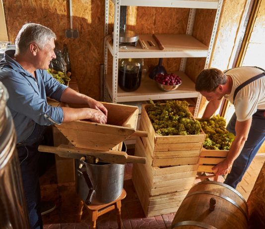 Elég érettek-e a magyar családi vállalkozások a túlélésre? Családi vállalkozók