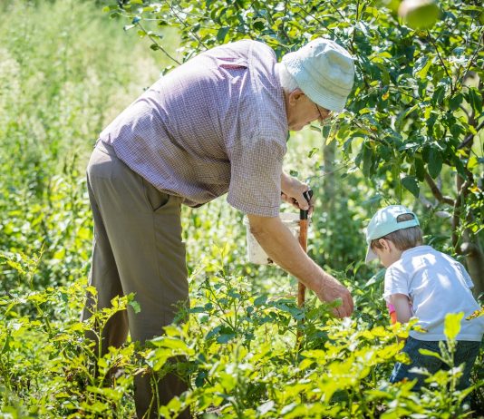 Hatások „hetedíziglen” – pszichogenetikai kalandozás Generációk