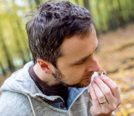 Túléléshez termés-szett – mit kínál a természet? Gomba