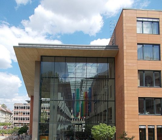 A világ 300 legjobb egyeteme között a Semmelweis