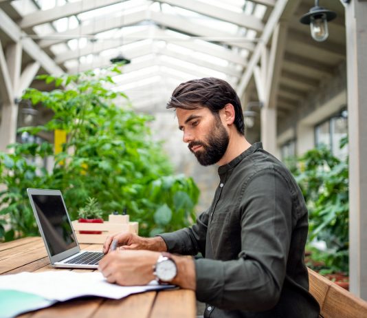 A jövő munkahelye: a zöld iroda Zöld iroda