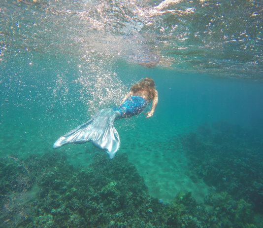 Sellő – egy, a világ 5 legérdekesebb munkája közül Sellő